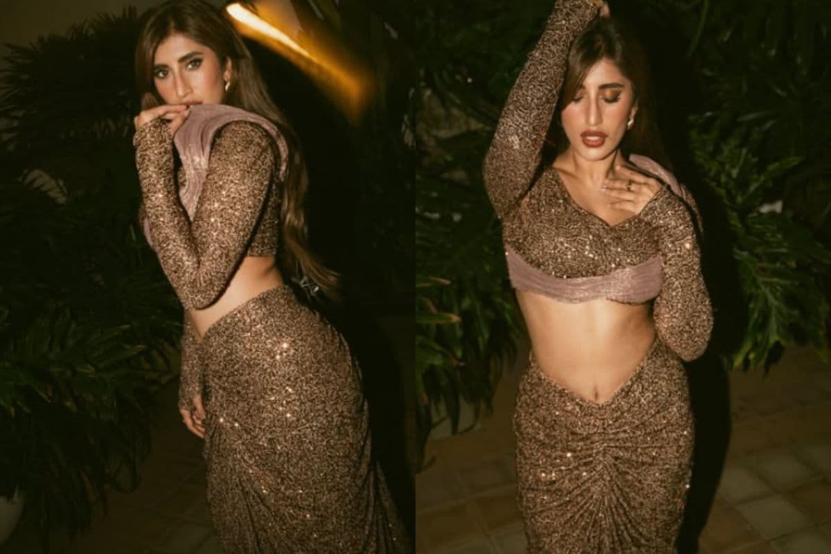 क्या गुपचुप शादी कर चुकी हैं Akasa Singh? सिंगर ने तोड़ी चुप्पी, बताई सच्चाई