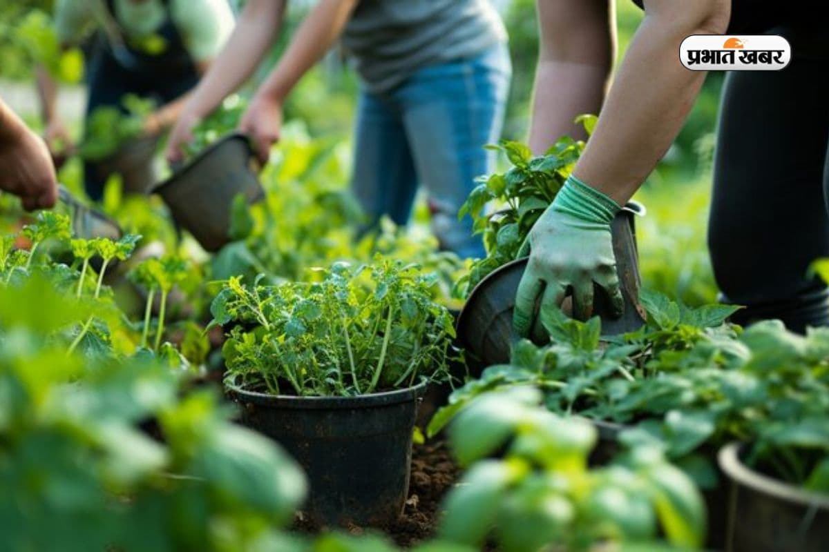 कंप्यूटर और IT के दौर में बढ़ रही है BSc Horticulture की डिमांड, जानें क्यों