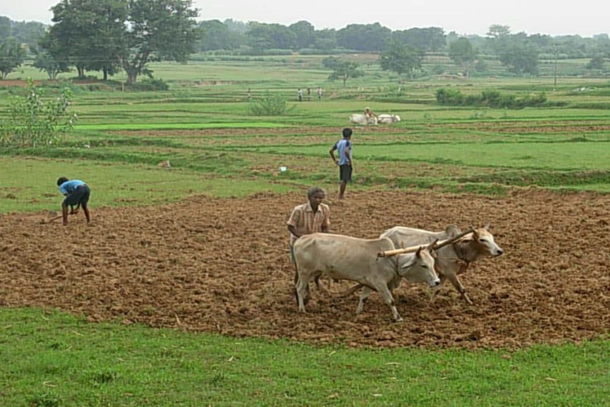 बिहार में जमीन डाक्यूमेंट्स जांच होगी तेज, एआई से खत्म होगी गड़बड़ी और फर्जीवाड़ा