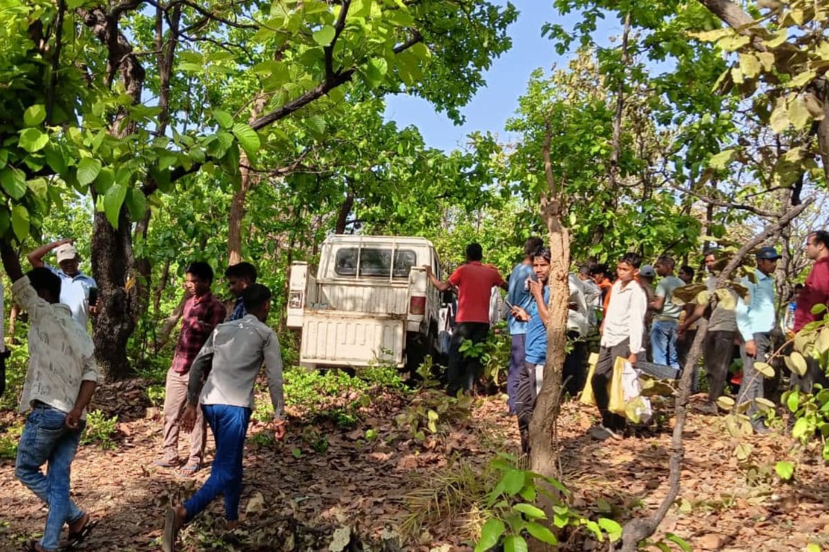 बोकारो के गोमिया में हाथियों का तांडव: महुआ चुनने गई महिला को पटककर मारा, जंगल में डेरा जमाए 16 गजराज