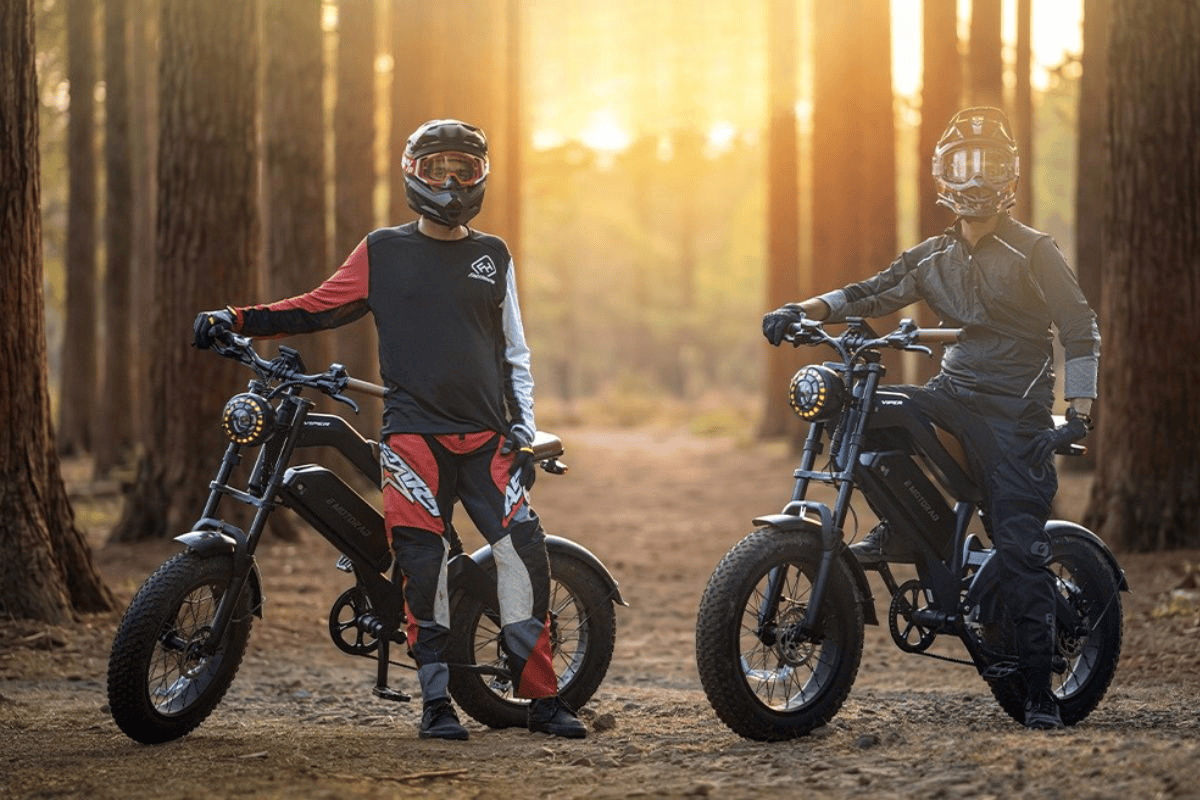 EMotorad Viper E-bike