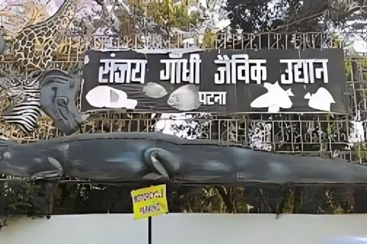 पटना जू में मिलेगा इंटरनेशनल एक्सपीरियंस, 10 करोड़ से बनेंगे फूड कियोस्क और ट्री-वॉक