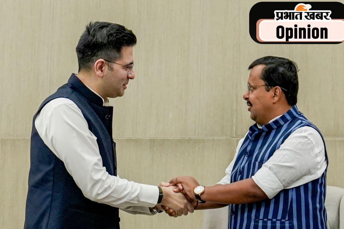 आप संसदीय दल का टूटना तय था