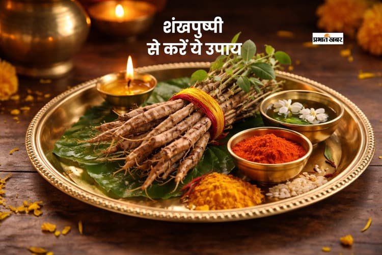 एक जड़ से बदलें किस्मत, शंखपुष्पी के असरदार टोटके