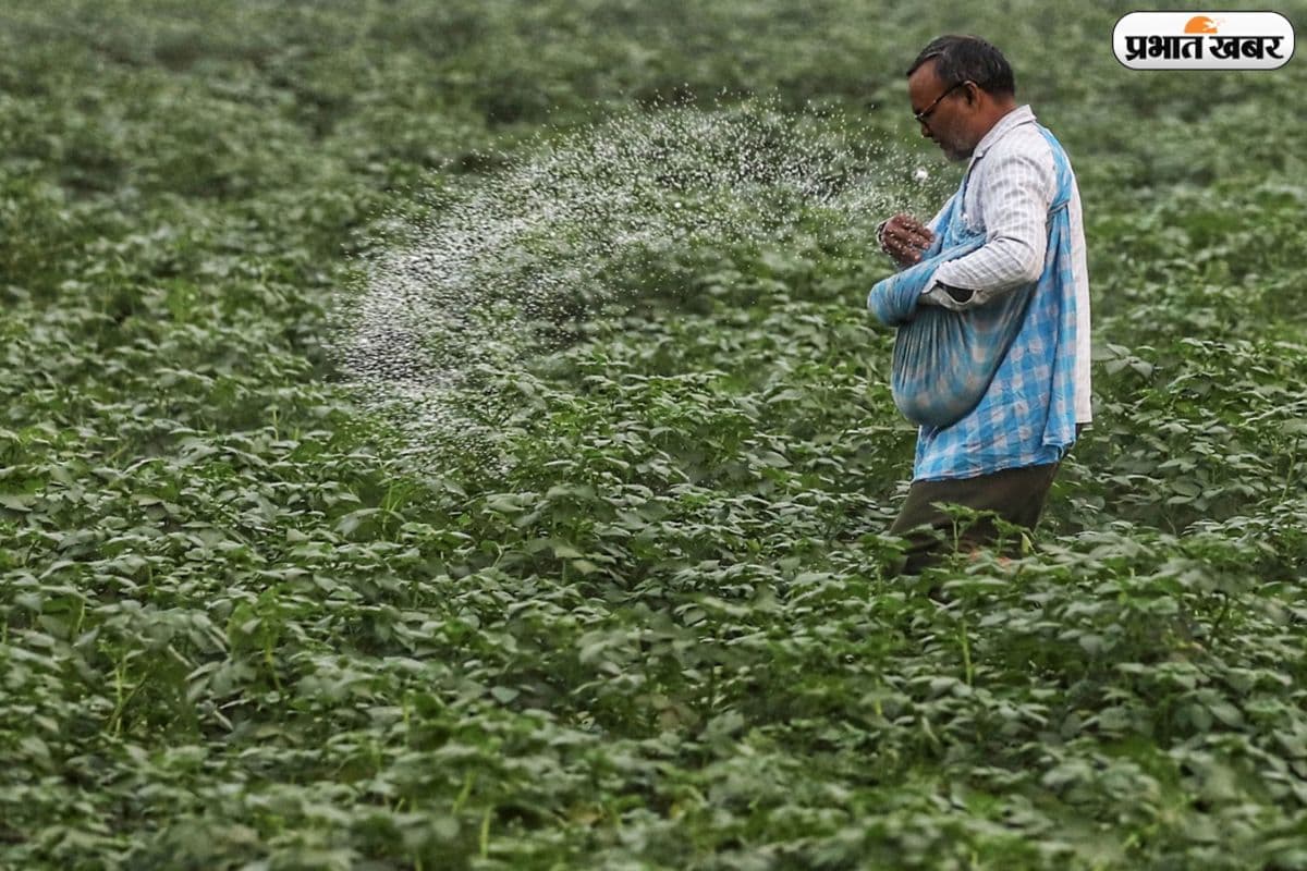 किसानों को नहीं होगी खाद की कमी, IPL खरीदेगा भारी मात्रा में यूरिया