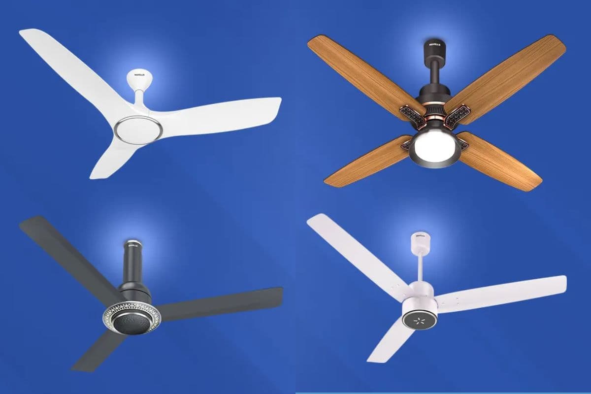 BLDC या रेगुलर फैन: कौन है बेहतर? देखें बिजली बचत और कीमत में फर्क