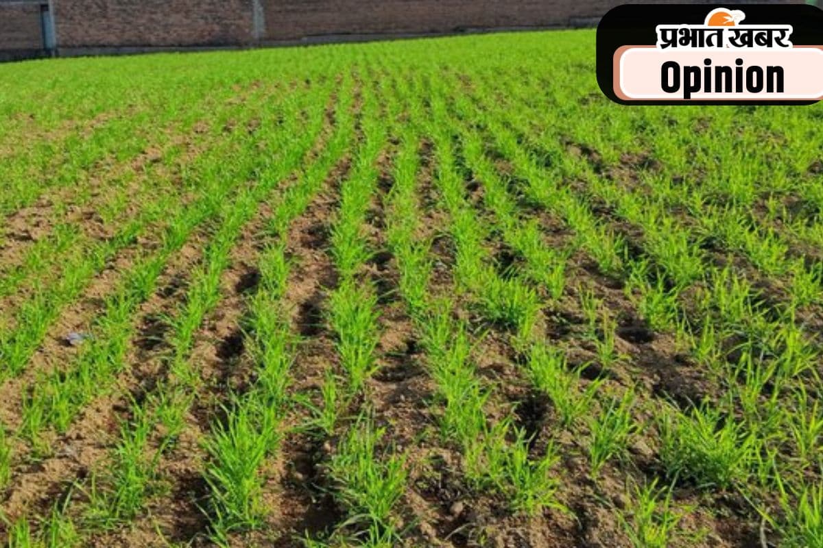 खेती की मुश्किलें बढ़ा सकता है अल नीनो