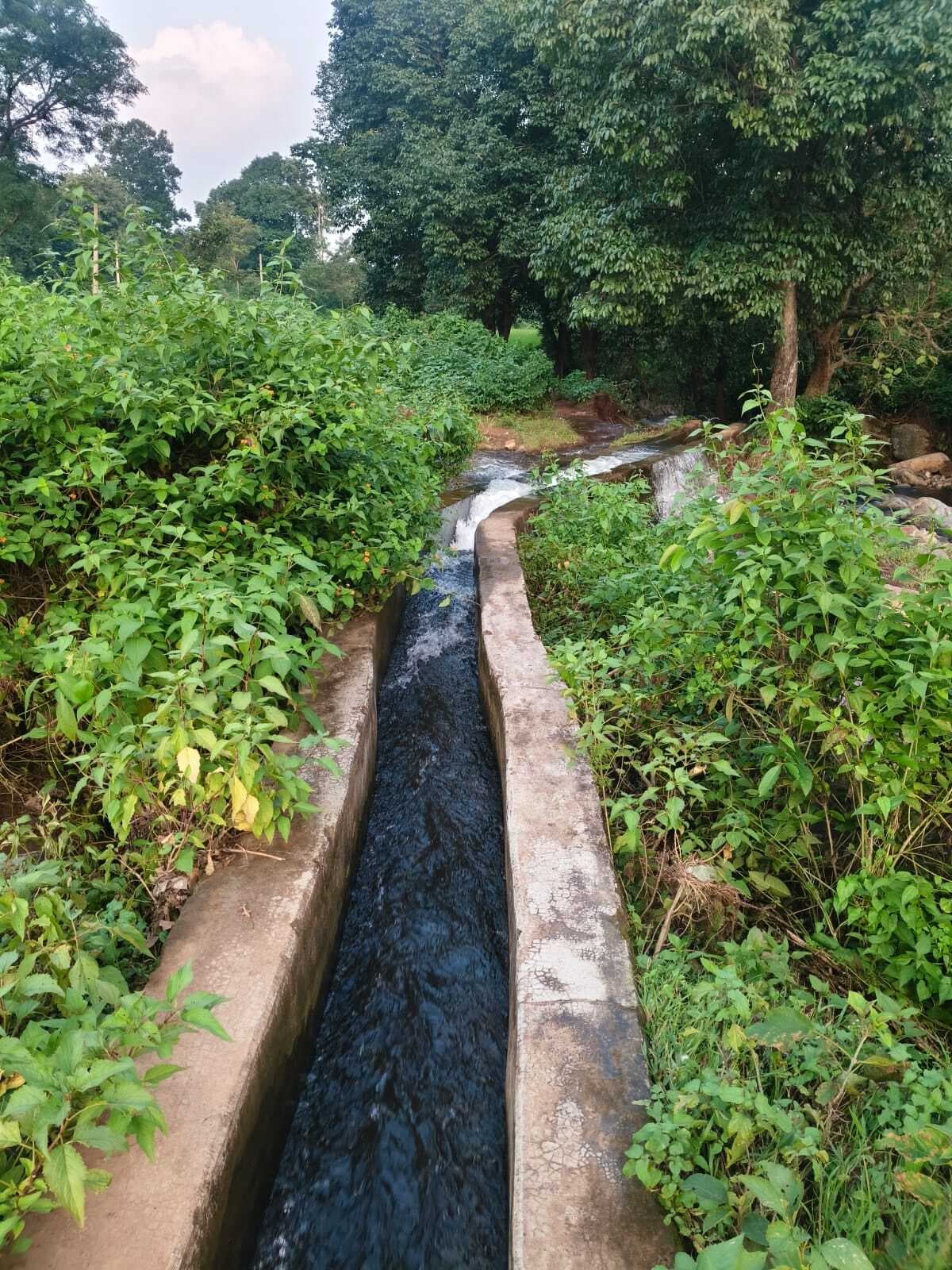 Giridih News : नक्सलियों को जहां मिलती थी ट्रेनिंग, वहां अब दिखती है विकास योजनाओं की हरियाली