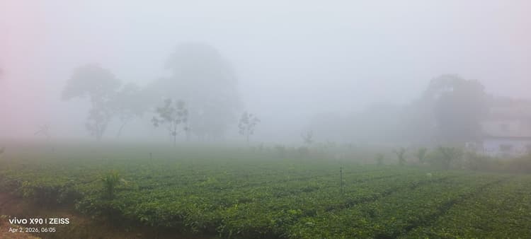 अप्रैल में जनवरी सा अहसास, कोहरे की चादर में लिपटा ठाकुरगंज