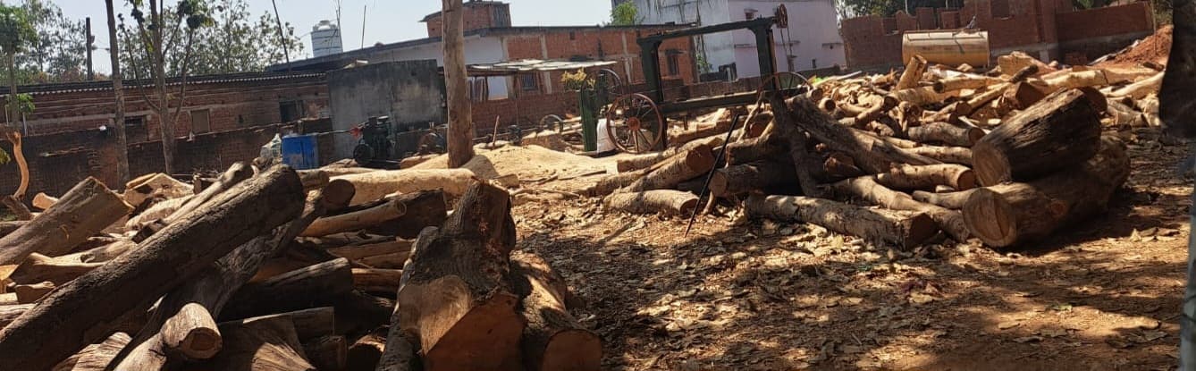 Giridih News :गिरिडीह में पांच आरा मिलों को लाइसेंस, जबकि चल रहीं तीन दर्जन से अधिक