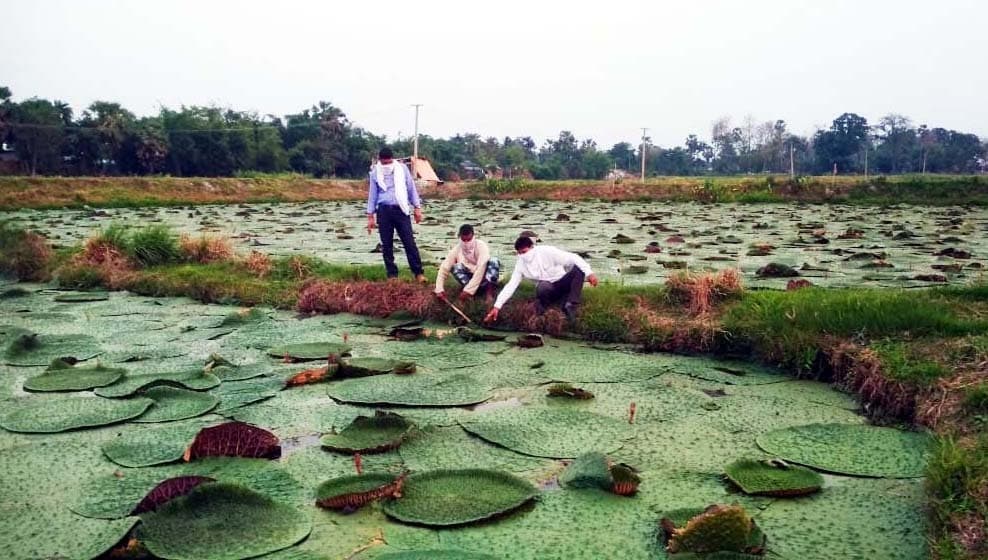 सेंटर ऑफ एक्सिलेंस फॉर मखाना मामले में आखिर हो गई पूर्णिया की हकमारी!