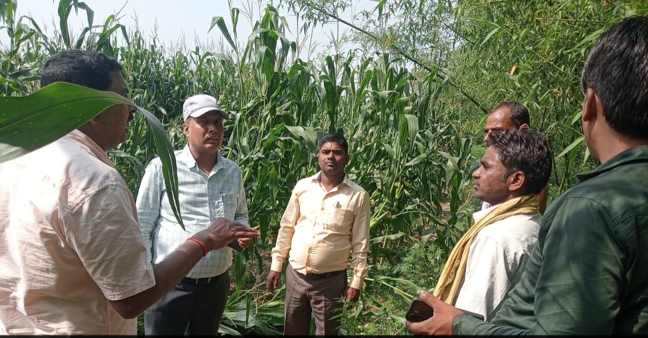 बारिश एवं आंधी से किसानों की बर्बाद फसल का अधिकारियों ने लिया जायजा