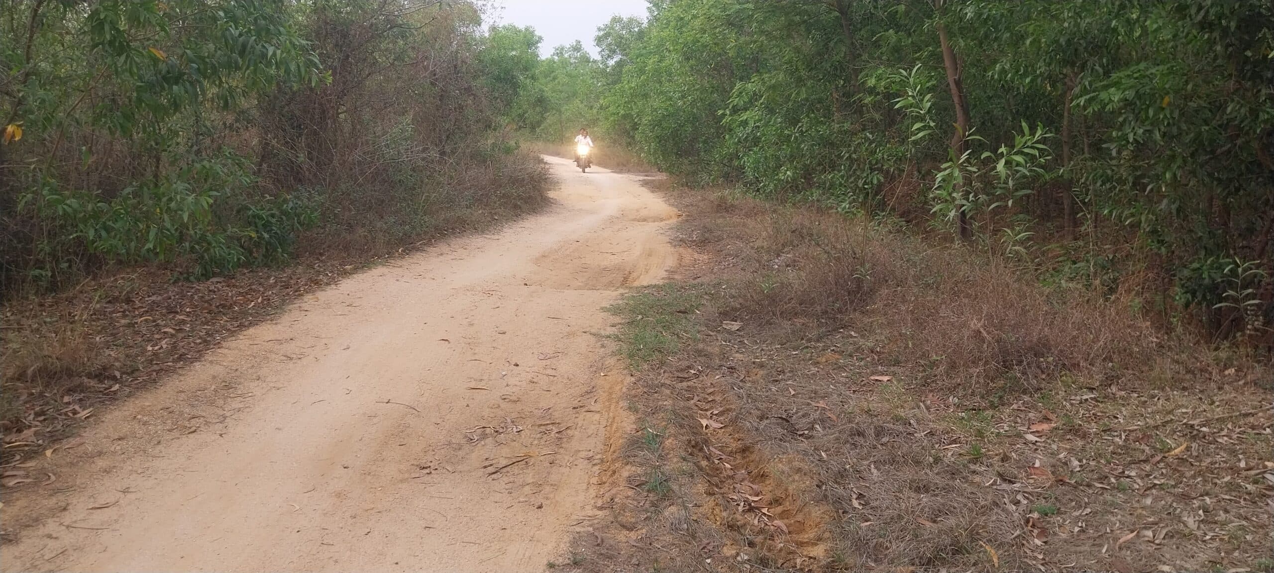 Giridih News :पडरिया-औरवाटांड़ सड़क का नहीं हुआ कालीकरण, परेशानी