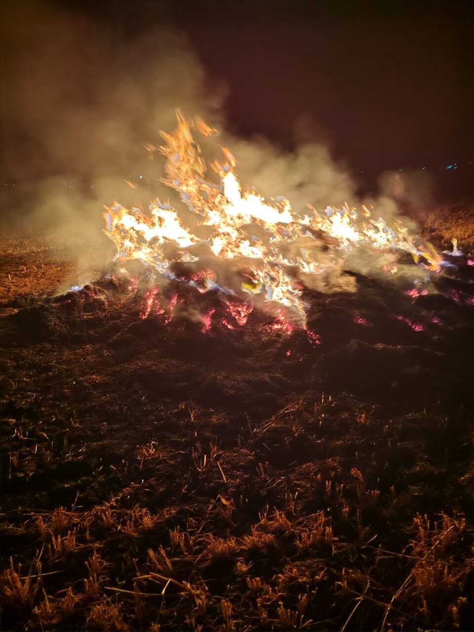 ननका बहियार में आग लगने से गेहूं की फसल राख