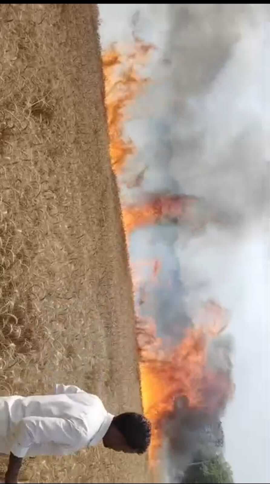 भीषण अगलगी: 40 किसानों की 50 एकड़ में खड़ी गेहूं की फसल जलकर स्वाहा