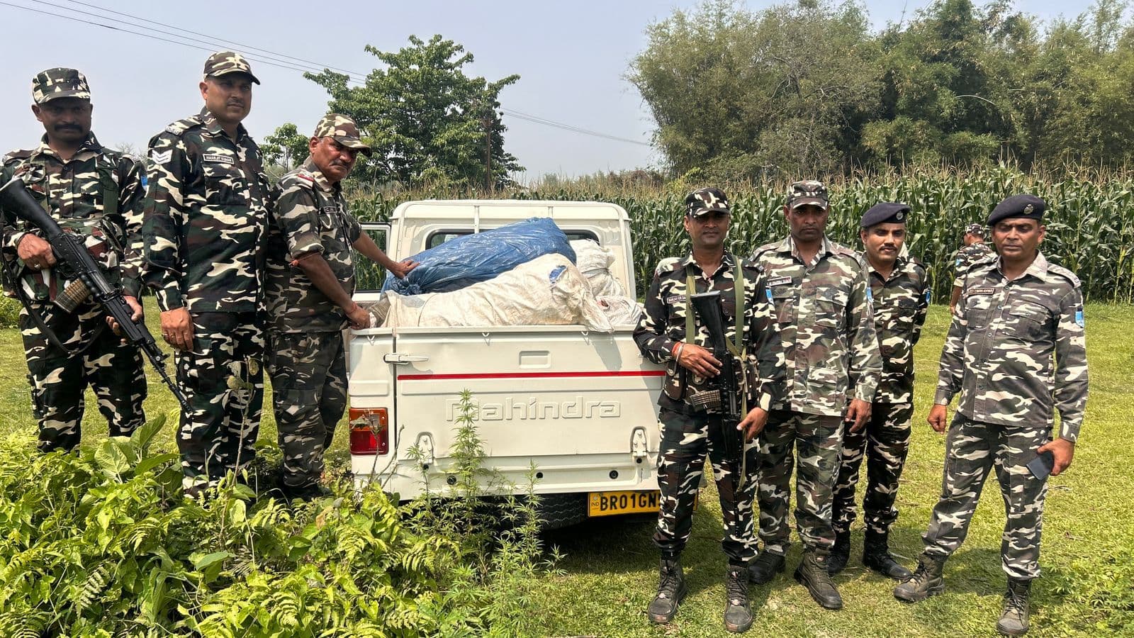 मक्का खेत से 263 किलो गांजा बरामद ,  दो  गिरफ्तार