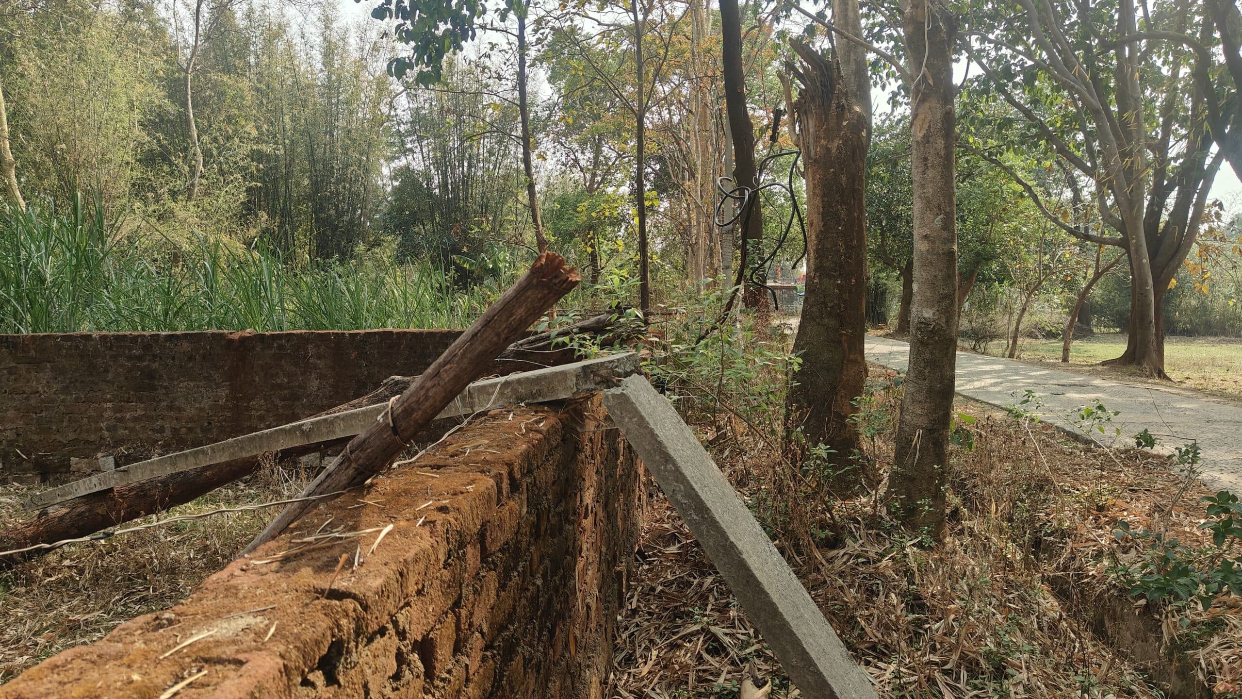 टूटे पोल व लटकते तार से हादसा का भय