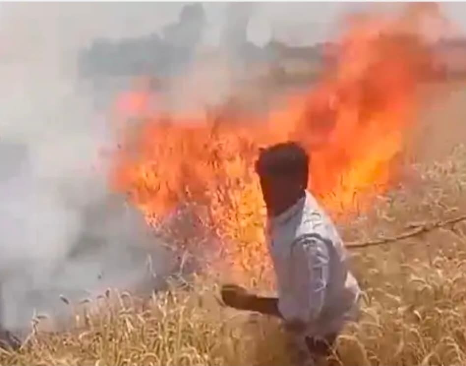 बहियार में लगी आग, 10 बीघा गेहूं की फसल राख