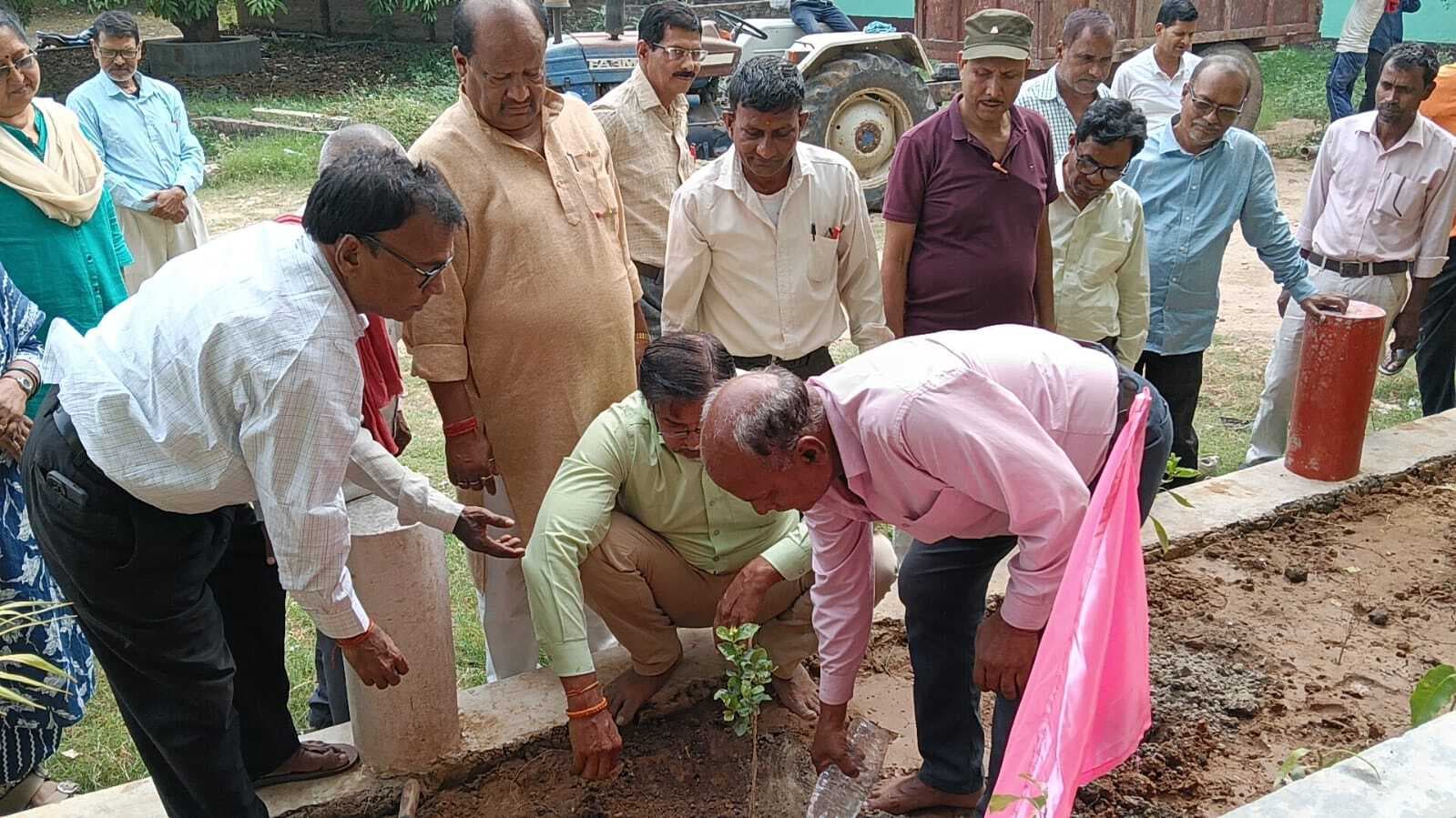 प्राकृतिक संतुलन को कायम रखने के लिए जरूरी है पौधरोपण