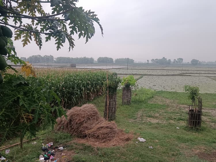 अचानक मौसम का बदला मिजाज, बूंदाबांदी से गेहूं उत्पादक किसानों की बढ़ी परेशानी