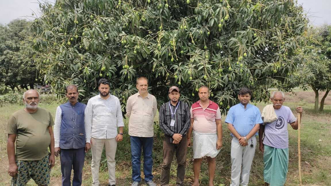 Bhagalpur news अधिकारियों ने आम बागानों का किया स्थल निरीक्षण