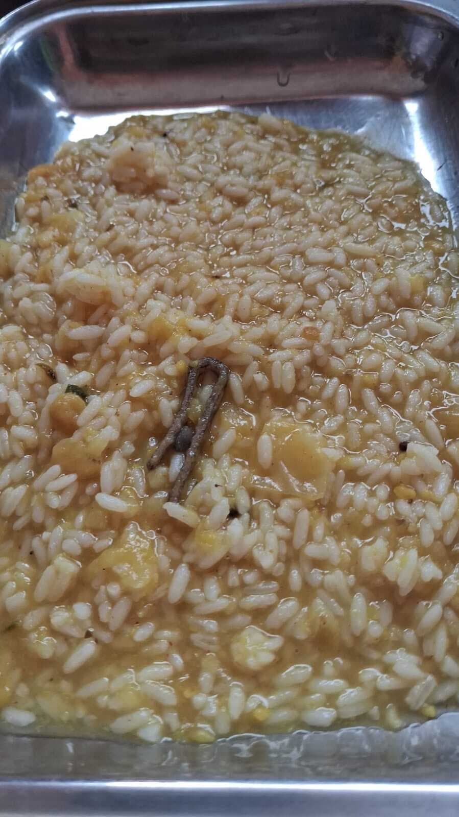 मवि धंचना में एमडीएम में मिला प्लास्टिक, बच्चों में अफरा-तफरी, जांच के आदेश