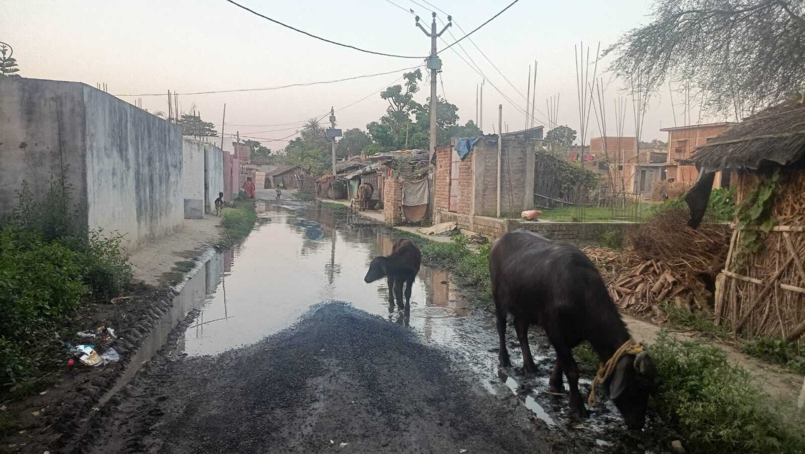 बिना बारिश ही डूबा कोलवारा, दो साल पहले बना नाला अब बना मुसीबत