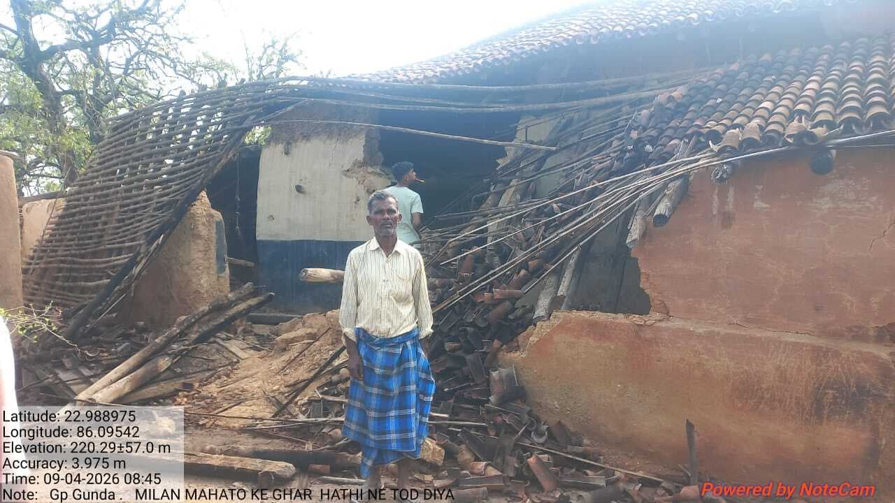 Seraikela Kharsawan News : डिटार-वनघर में झुंड से बिछड़े हाथी ने चार घरों को तोड़ा