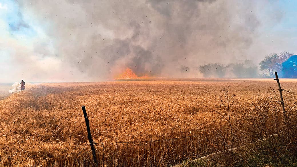 नोखा में भीषण अगलगी, 200 बीघा तक गेहूं की फसल जलकर राख