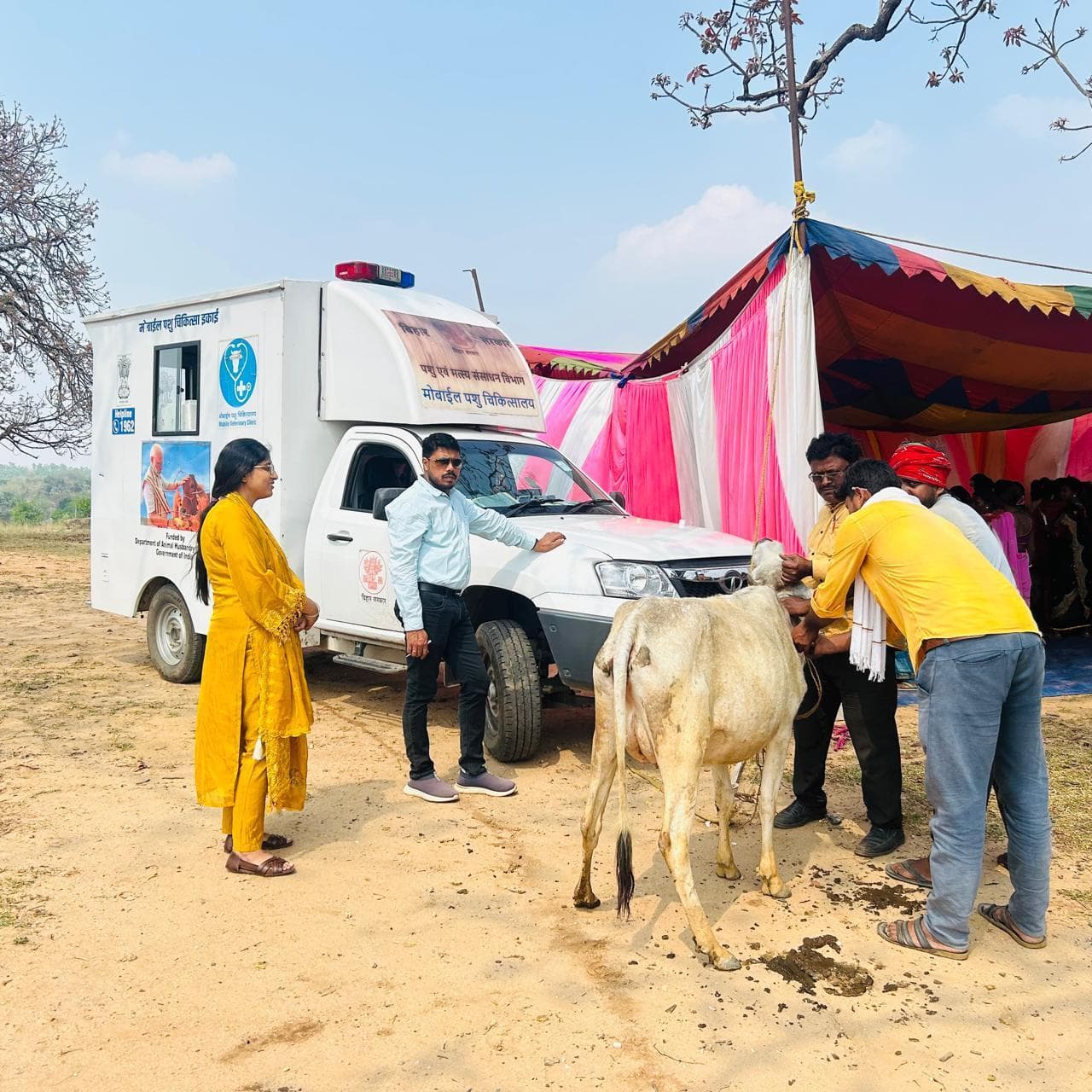 पशु बांझपन निवारण के लिए लगा शिविर,  268 पशुओं की हुई जांच