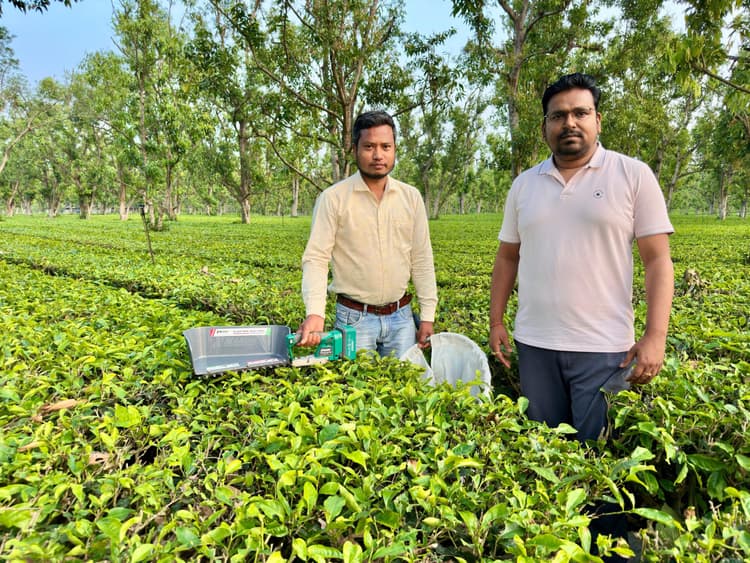 ठाकुरगंज के मनीष ने बनायी अंतरराष्ट्रीय पहचान, बनाया चाय पत्ती हार्वेस्टिंग मशीन