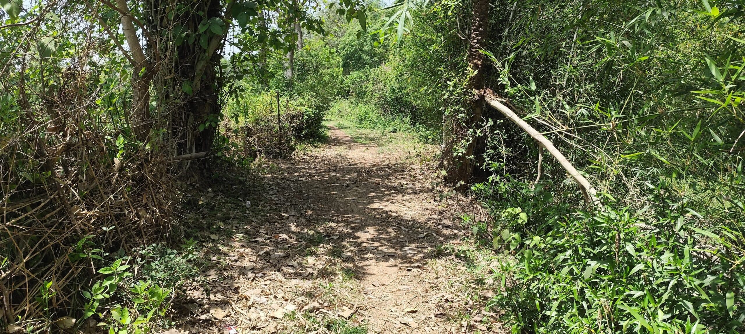 East Singhbhum News : ग्रामीण करते हैं प्रार्थना : हे भगवान! बरसात में गांव में किसी की मौत न हो