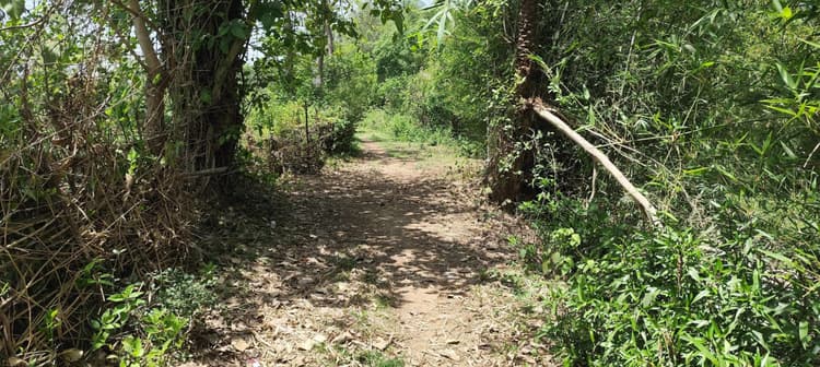 East Singhbhum News : ग्रामीण करते हैं प्रार्थना : हे भगवान! बरसात में गांव में किसी की मौत न हो