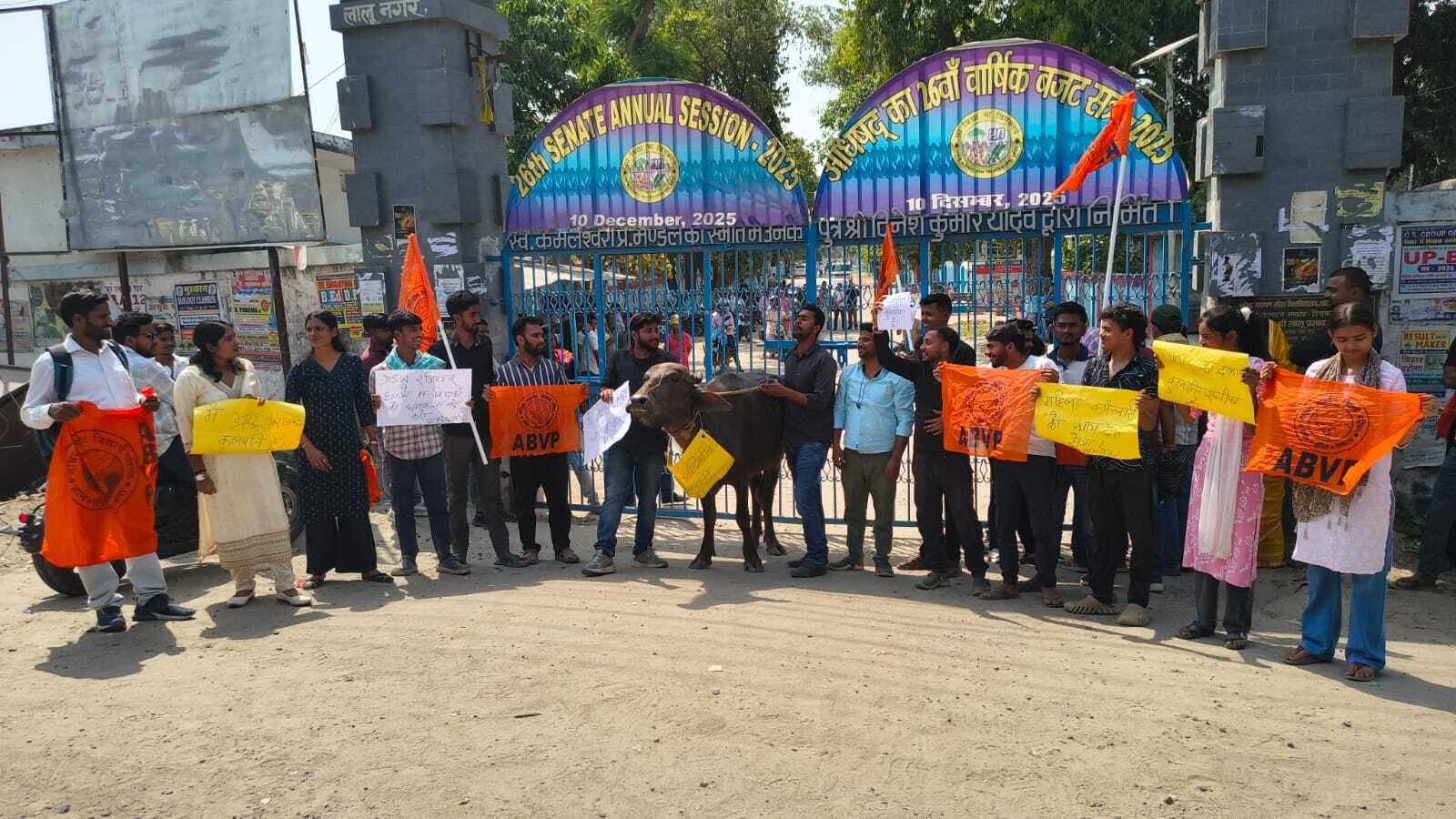 विश्वविद्यालय में भैंस घुमा कर अभाविप ने किया सांकेतिक प्रदर्शन