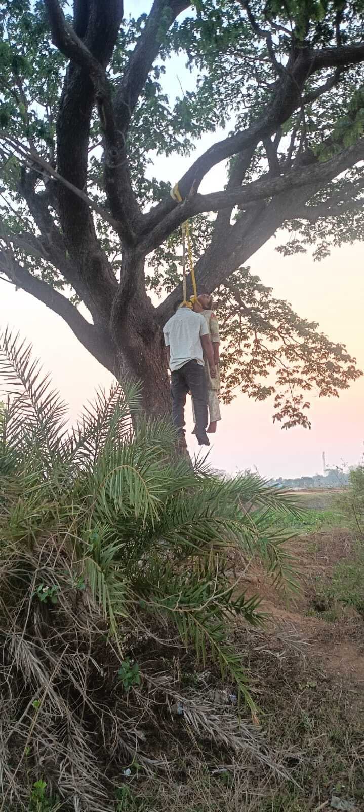 बुंडू में पेड़ पर लटकता मिला कथित प्रेमी युगल का शव, क्षेत्र में सनसनी