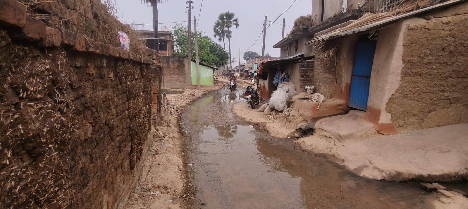 नाला नहीं होने से  हनवारा सड़क पर जलजमाव बनी परेशानी