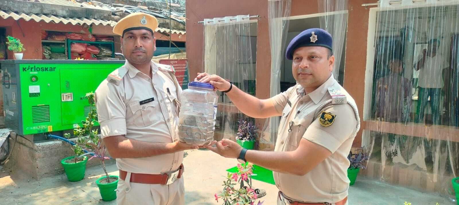 खावा चंद्रटोला में मिला रसल्स वाइपर, वन विभाग को सौंपा