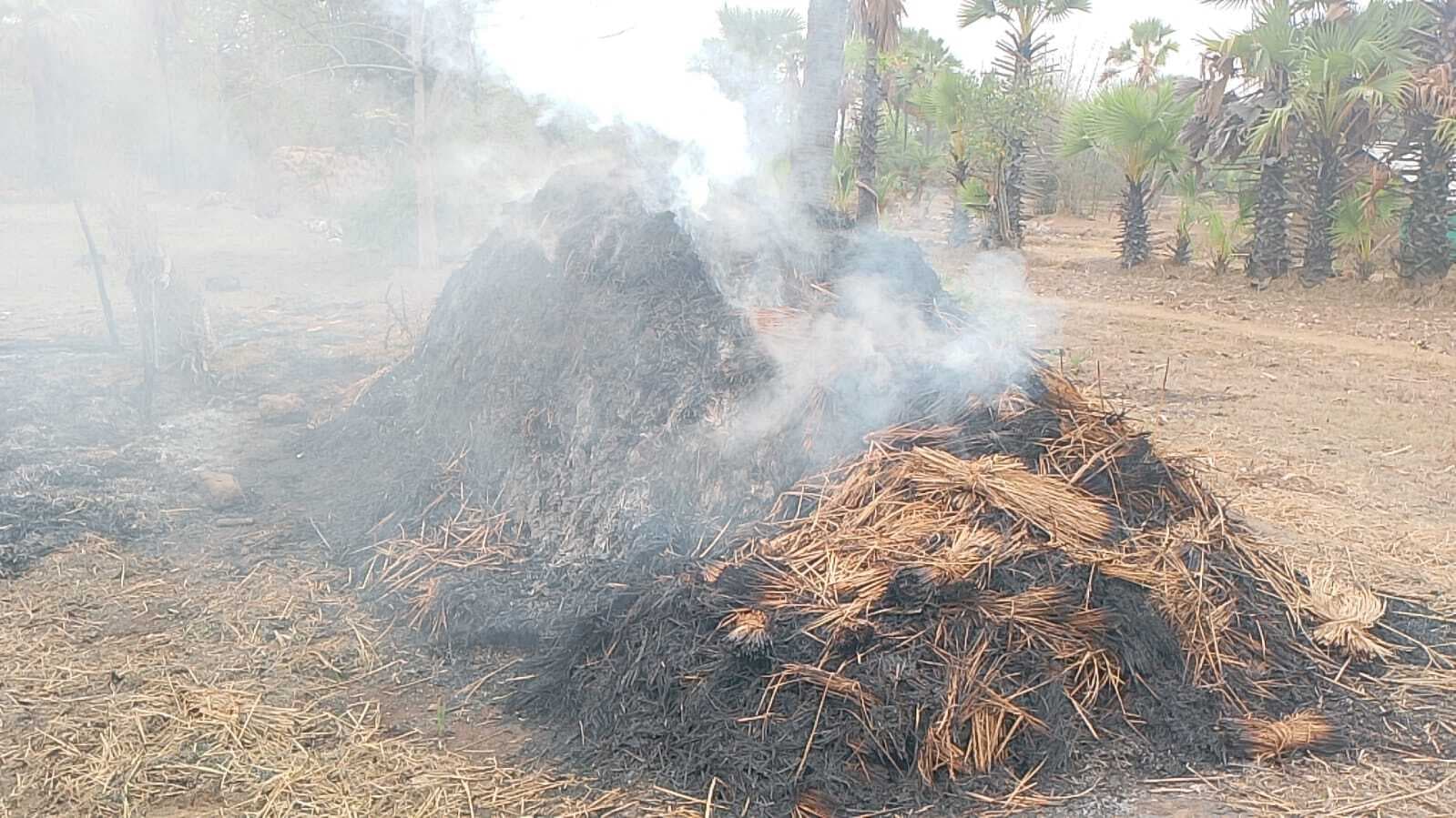 वज्रपात से खेत में रखे फूस का ढेर जला, हजारों की क्षति