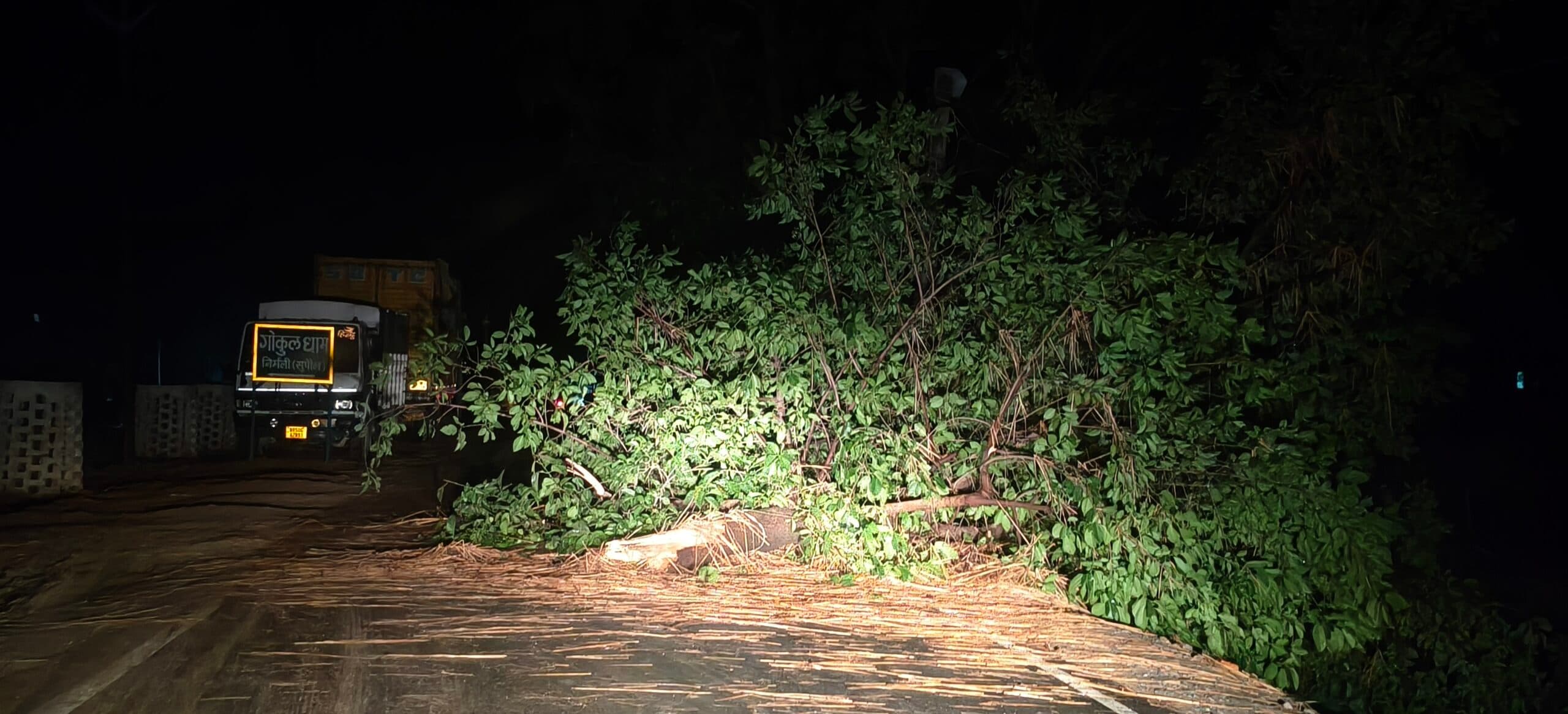 आंधी-बारिश से पेड़ गिरे, विद्युत आपूर्ति भी प्रभावित