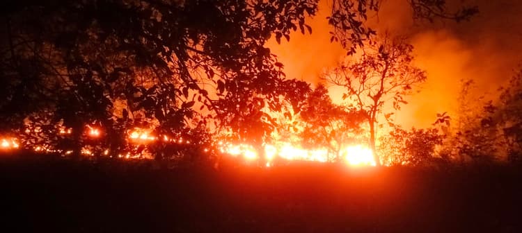 दिनदहाड़े खेतों में किसान जला रहे गेहूं के डंठल