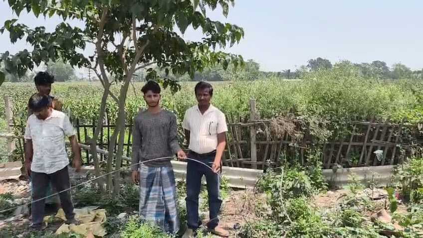 हरिप्रसाद गांव में टला बड़ा हादसा: 11 हजार वोल्ट का तार टूटकर गिरा