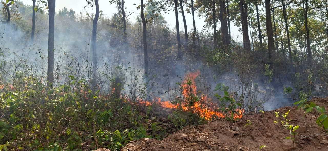 Giridih News :गावां के जंगल में लगी आग, पर्यावरण को नुकसान