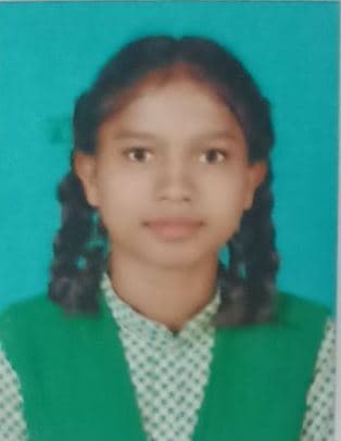 विद्या विहार पब्लिक स्कूल का रिजल्ट शत प्रतिशत रहा