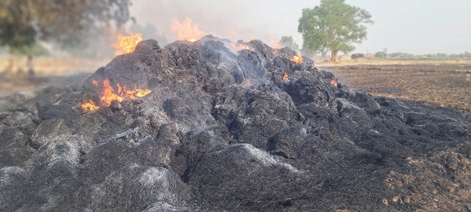 बधार में लगी आग, दुधमी से सूही तक मची तबाही, दर्जनों किसानों की फसल और पुआल खाक