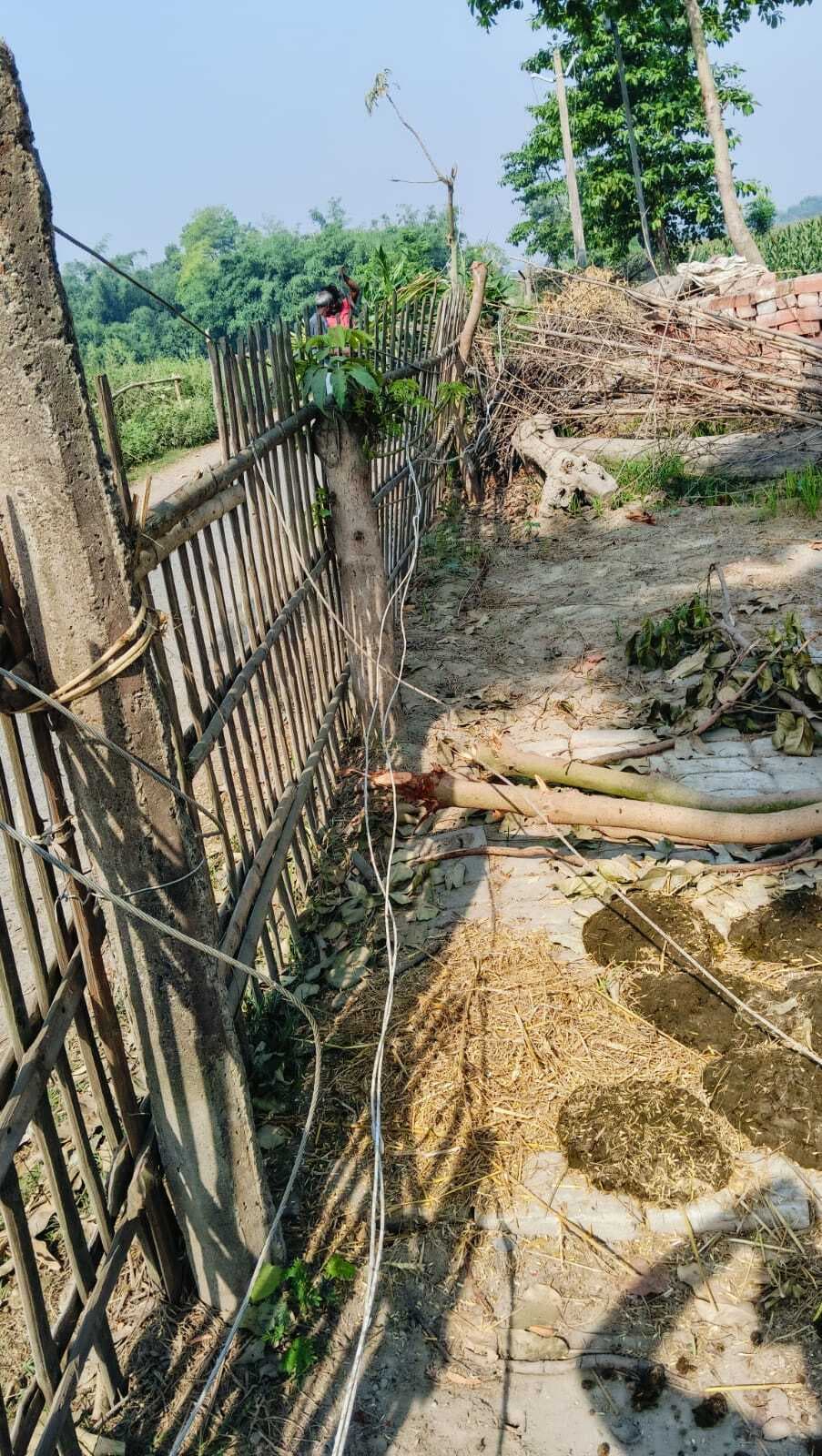 लापरवाही की हद, 15 दिन से सड़क पर गिरा है बिजली का तार, हादसे का डर