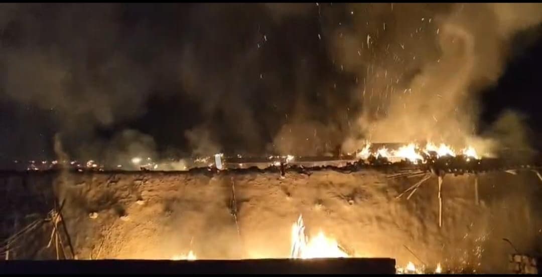 Giridih News :असामाजिक तत्वों ने राजादोर जंगल में लगायी आग, झुलसे पेड़-पौधे