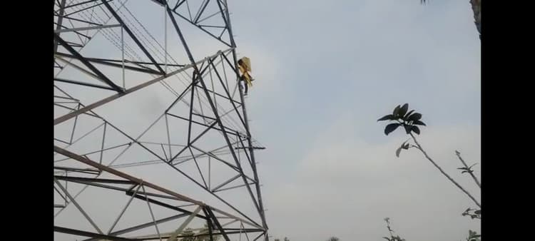 पालोजोरी : हाई टेंशन टावर पर चढ़ी विवाहिता, पुलिस और ग्रामीणों की सूझबूझ से टली बड़ी घटना