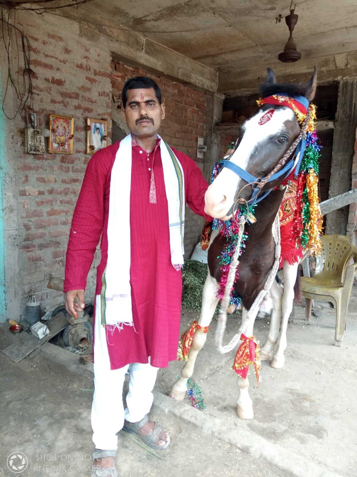 चार वर्ष पहले करायी थी घोड़े की शादी, करंट लगने से हुई मौत