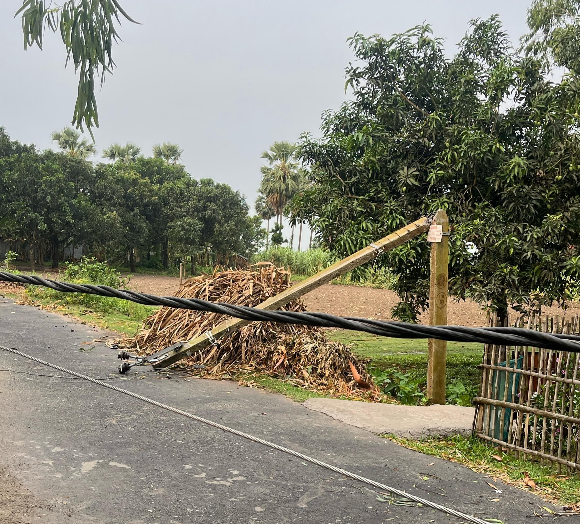 तेज आंधी-तूफान से बिजली व्यवस्था ध्वस्त, 10 पोल एक साथ गिरे