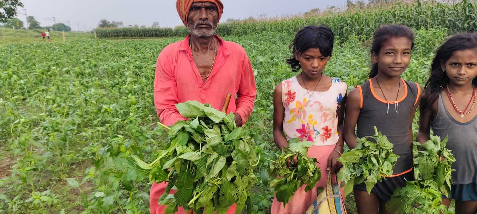 इलाके में हुई ओलावृष्टि से किसानों की  कमर टूटी , 50 से 200 ग्राम तक के गिरे ओले